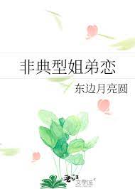 非典型姐弟恋 非典型姐弟恋